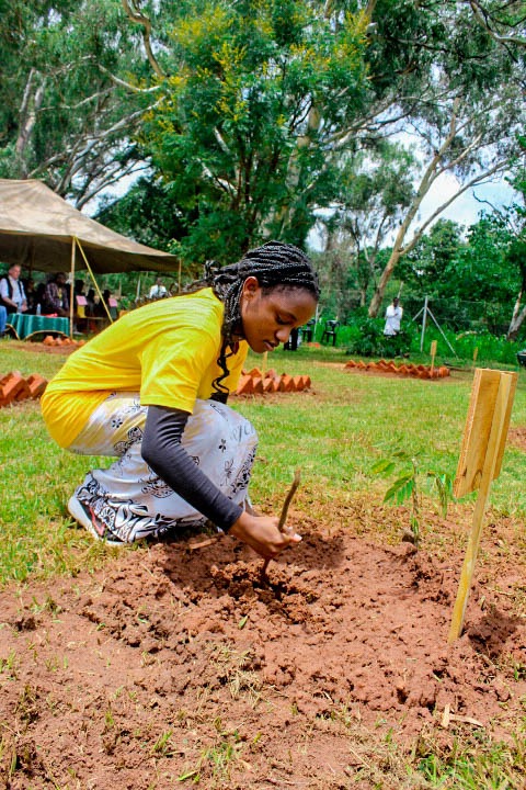 Kamuzu Academy Annual Tree Planting exercise 2025 - Image 13